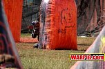 IMG1862.jpg