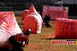 IMG1961.jpg