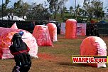 IMG1991.jpg