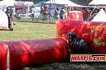 IMG3413.jpg