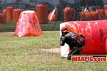 IMG3431.jpg