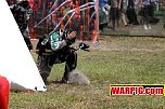 IMG3434.jpg