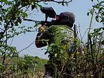 MVC885S.JPG