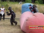 MVC047S.jpg