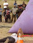MVC279S.jpg