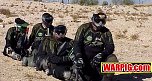 MVC030S.jpg