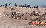 MVC037S.jpg