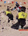 MVC039S.jpg