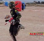 MVC381S.jpg