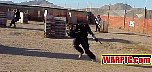 MVC002S.jpg