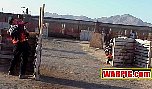 MVC005S.jpg