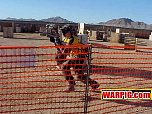 MVC022S.jpg