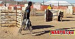 MVC023S.jpg