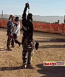MVC099S.jpg