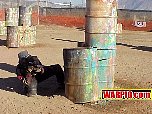 MVC102S.jpg