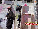 MVC067S.jpg