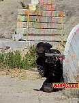 MVC108S.jpg