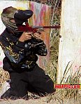 MVC137S.jpg