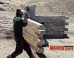 MVC246S.jpg