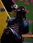 MVC317S.jpg
