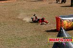 IMG0015.jpg