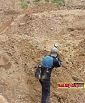 MVC033S.jpg
