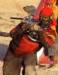 MVC061S.jpg