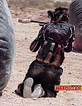 MVC122S.jpg