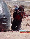 MVC132S.jpg