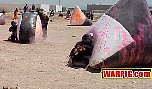 MVC274S.jpg