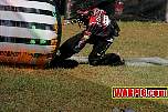 IMG1264.jpg