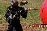 IMG1295.jpg
