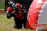 IMG1310.jpg