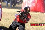 IMG1313.jpg