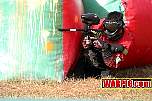 IMG1481.jpg