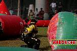 IMG1485.jpg