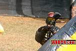IMG1599.jpg