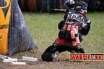 IMG1617.jpg