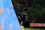 IMG0240.jpg