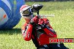 IMG0274.jpg