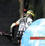 IMG0288.jpg