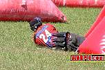 IMG0294.jpg