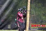 IMG0349.jpg