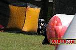 IMG0377.jpg