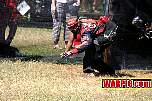 IMG0564.jpg