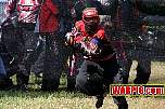 IMG0565.jpg