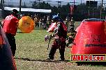 IMG0786.jpg