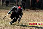 IMG0936.jpg