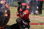 IMG0950.jpg