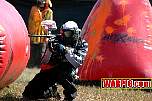 IMG0993.jpg